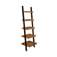 Copenhagen Ladder Shelf